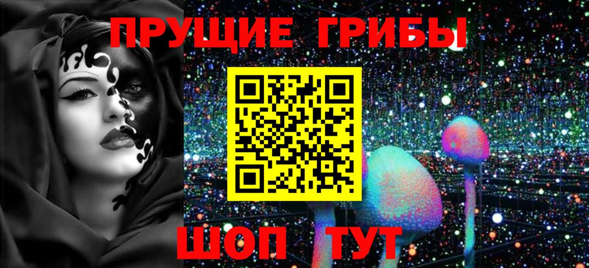 Псилоцибиновые грибы прущие грибы Мирный